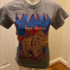 Def Leppard Kids Gray Graphic Tee